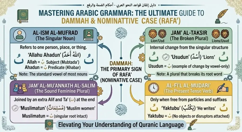 MASTERING ARABIC GRAMMAR: THE ULTIMATE GUIDE TO DAMMAH & NOMINATIVE CASE (RAFA’)